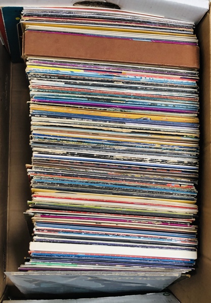 Samling af LP'er - herunder Herman Hermits, Beatles, Sputniks, Canned Heart, Marmelade, Jim Reeves og Buddy Hollie m.fl.