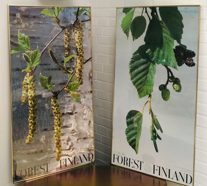 2 stk. Botanisk illustrationsplakater skabt af Erik Bruun (1926): af serien Forest Finland (101X50,5cm)