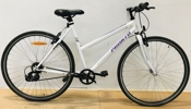 Puch Pronto 'Between' pigecykel (R 2025-0027)