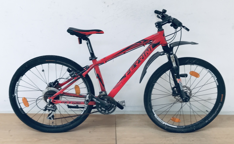 +M: Ferrini jr-mountainbike (K 8/26)