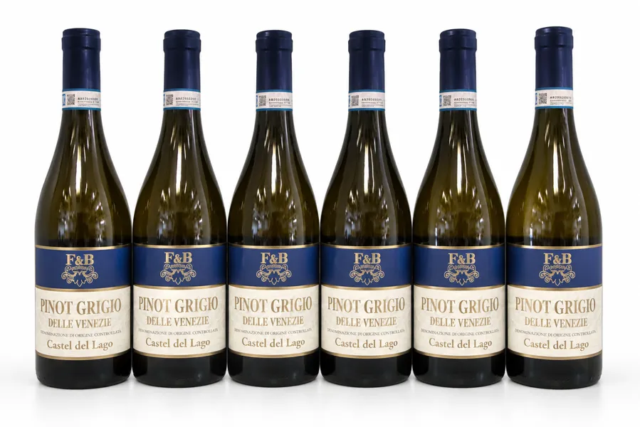 6 fl. Pinot Grigio delle Venezie DOC (2025) - Casteldel Lago / Bardolino